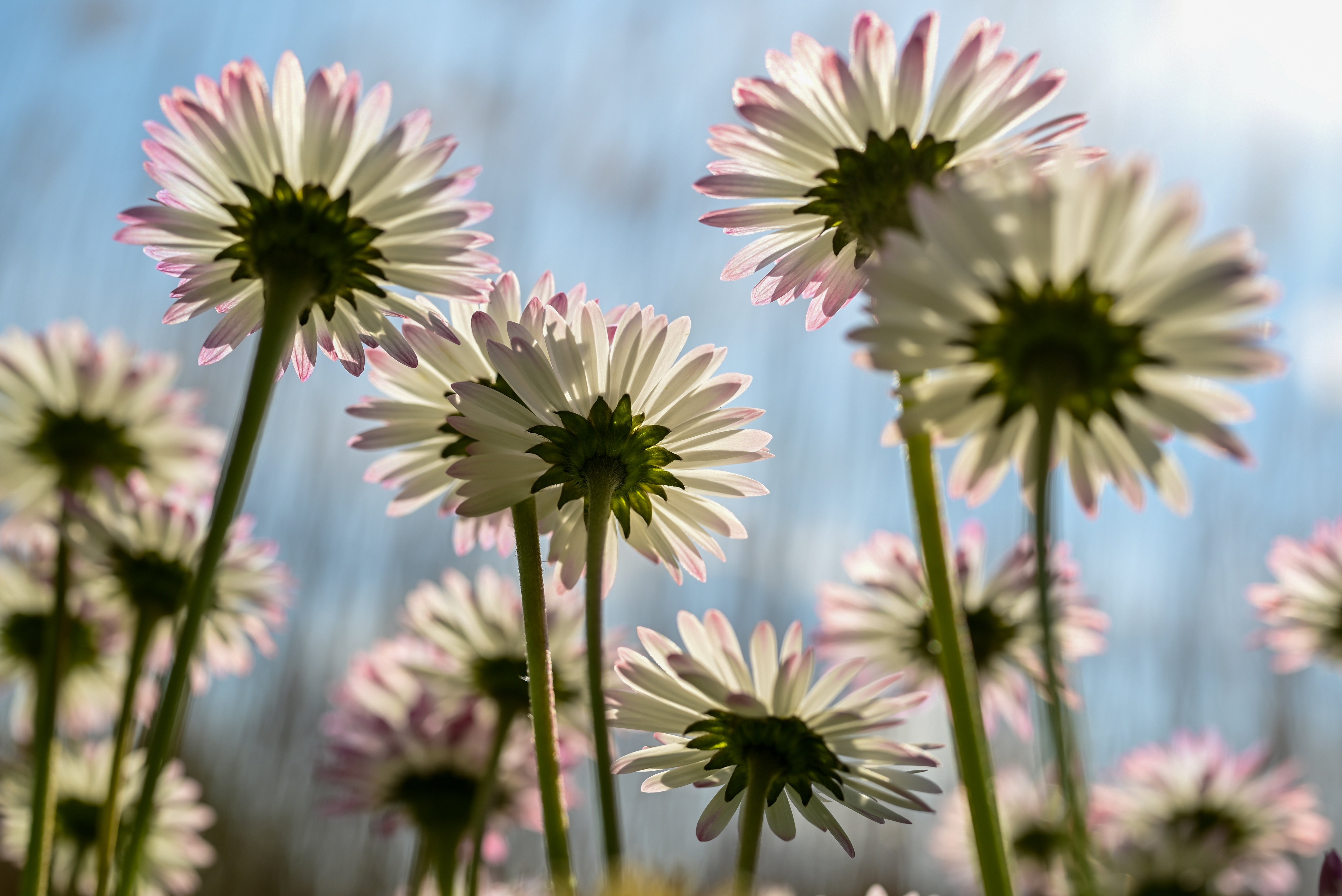 Test phottos